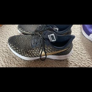 Nike zoom Pegasus 35